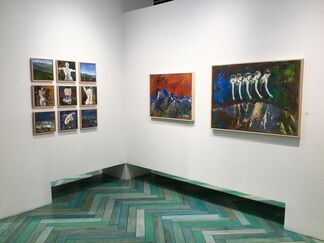 Toward Home, installation view