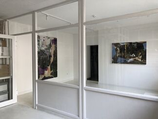 AUGMENTED NATURE, installation view