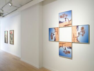 In Pursuit of Elusive Horizons, installation view