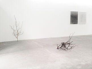 When I Say Stop, Continue, installation view
