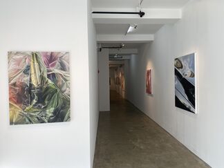James Evans: "A Manner of Forgetting", installation view