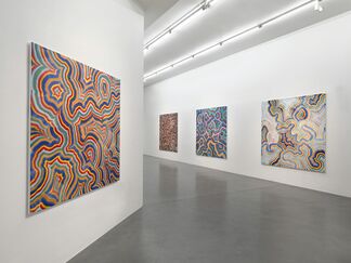 Bernard Frize: Colour Divides, installation view
