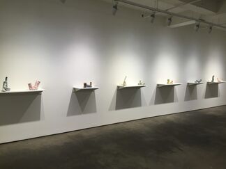 Elisa D'Arrigo           vases/drawings, installation view