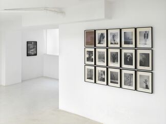 Bare Wunder curated by Veit Loers, installation view
