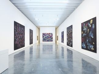 Jiri Georg Dokoupil: New Paintings, installation view