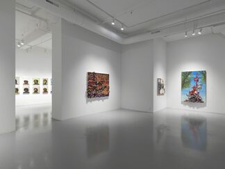 Herman Aguirre - Cicatriz, installation view