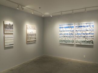 The Language of Lines, installation view