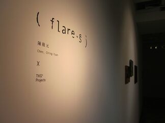 (flare-s), installation view