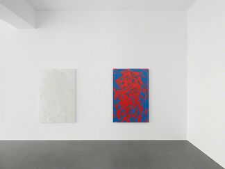 Jonathan Horowitz — Plants, Mirrors, Coke/Pepsi Paintings and More, installation view