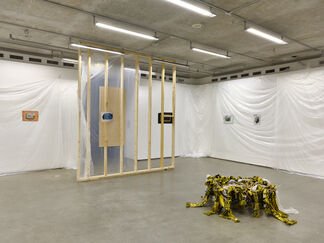 Alison Yip: Soma Topika, installation view