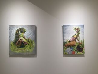 Earth, installation view