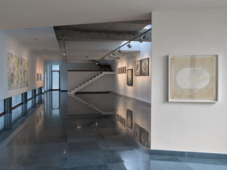 Constantin Flondor - Remember, installation view