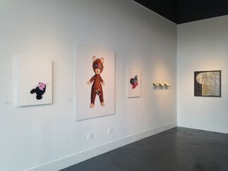 Aesthetic Encounters, installation view