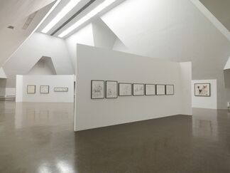 Paul McCarthy Drawings, installation view