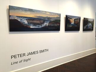 Peter James Smith: Line of Sight, installation view