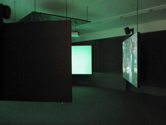 Eija-Liisa Ahtila, Studies on the Ecology of Drama 1, 2014, installation view