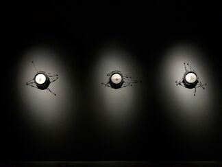 Klein Hurtz Greenhouse Mimicry - Yu Siuan Solo Exhibition, installation view