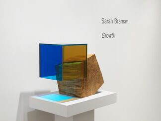Sarah Braman: Growth, installation view