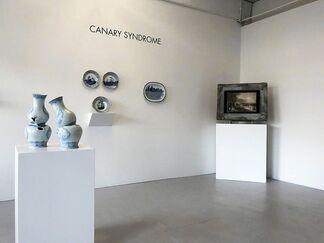 Canary Syndrome, installation view