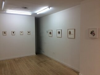 Natural Order- Susanna Bauer and Leigh Anne Lester, installation view