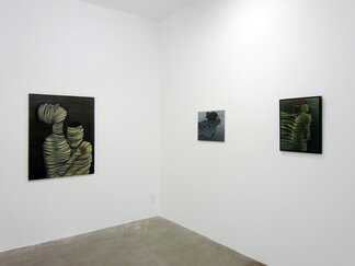 Patricia Clark: A Matter of Circumstances, installation view