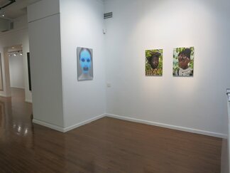 EYES ONLY, installation view