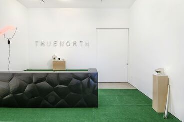 Manny Krakowski: True North, installation view