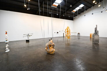 Shirley Tse: Vital Organs & Other Stories, installation view