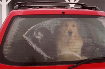 Harry Roseman, ‘Form Follows Function ’, 2004