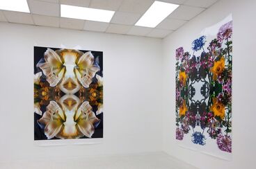 Todd Eberle FLOWERS (for Richard), installation view