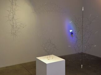 Synthetic BioStructure, installation view