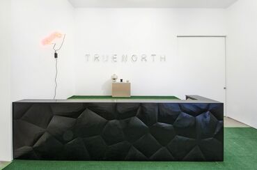 Manny Krakowski: True North, installation view