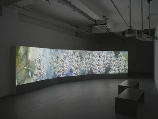Shahzia Sikander: Parallax, installation view