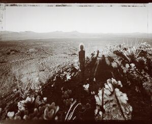 Self portrait with Saguaro about my same age, Pinacate Sonora 10/29/99
