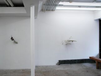 Martin Schwenk, installation view