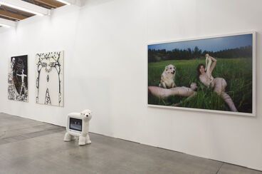 Team Gallery at Art Brussels 2013, installation view