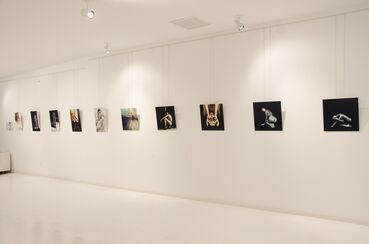 Blossoming beauties, installation view