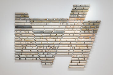 Carlos Irijalba, ‘Pannotia. Corte interpretativo I’, 2018