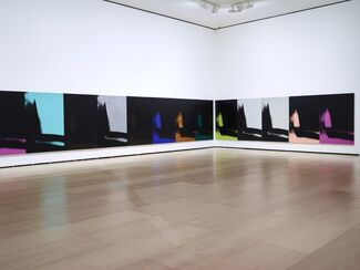Andy Warhol: Shadows, installation view