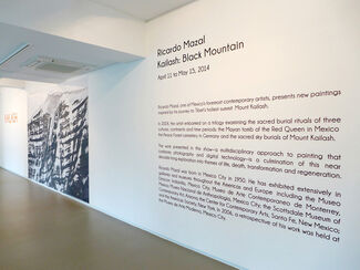 Ricardo Mazal: Kailash, Black Mountain, installation view