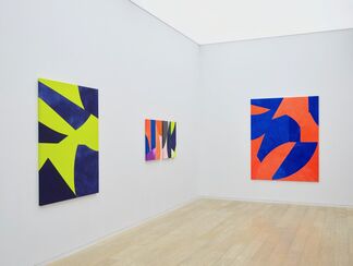 Sarah Crowner: Paintings For The Stage, installation view