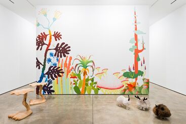 The Haas Brothers: Animalia, installation view