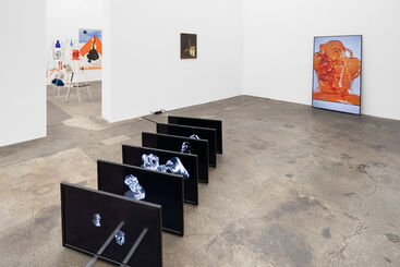 Paul Glaw: Pleasure Anorexia, installation view