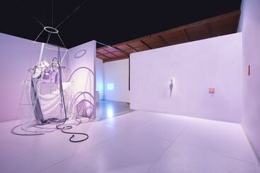 What is the current that presents a behaved waist, installation view