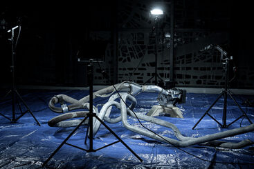 David Correa, ‘Vestigial Limb V5’, 2024