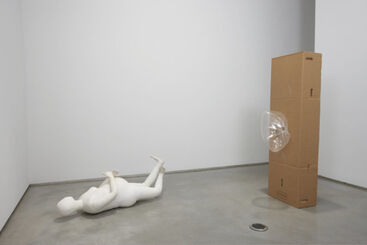 Forced Exposure (organized by Miriam Katzeff), installation view