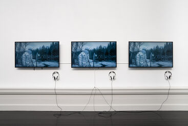 Jakob Kudsk Steensen, ‘Terratic Animism’, 2017