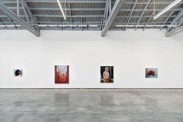 Torbjørn Rødland | Pain in the Shell, installation view