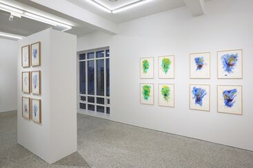 Björn Roth: Nervettis 2009-2018, installation view