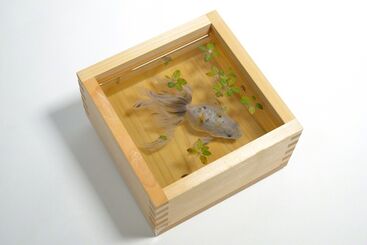 Riusuke Fukahori, ‘Ada’, 2018